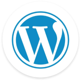 Best WordPress Training Institute in Delhi NCR